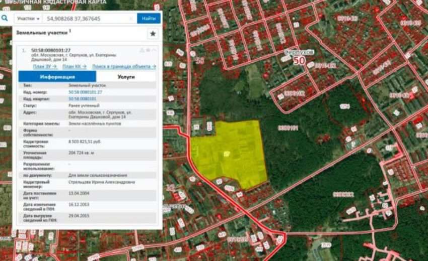 Границы участка онлайн: зачем каждому владельцу нужен публичный кадастр